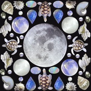 January 2020 Lunar Eclipse Tarotscopes