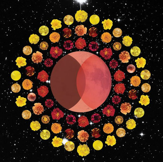 November 2021 Partial Lunar Eclipse