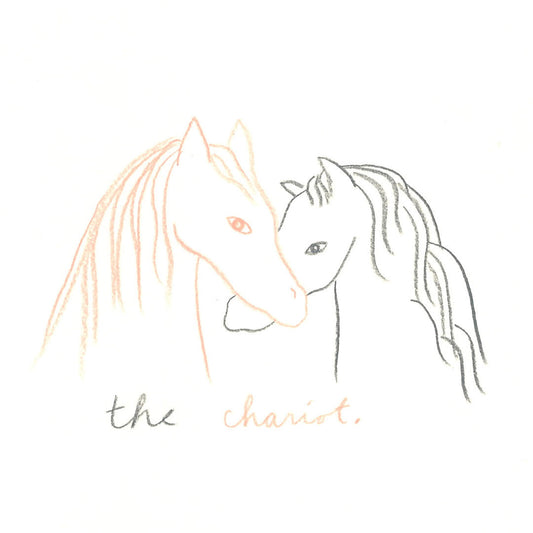 7 Things To Remember For Our Chariot Year