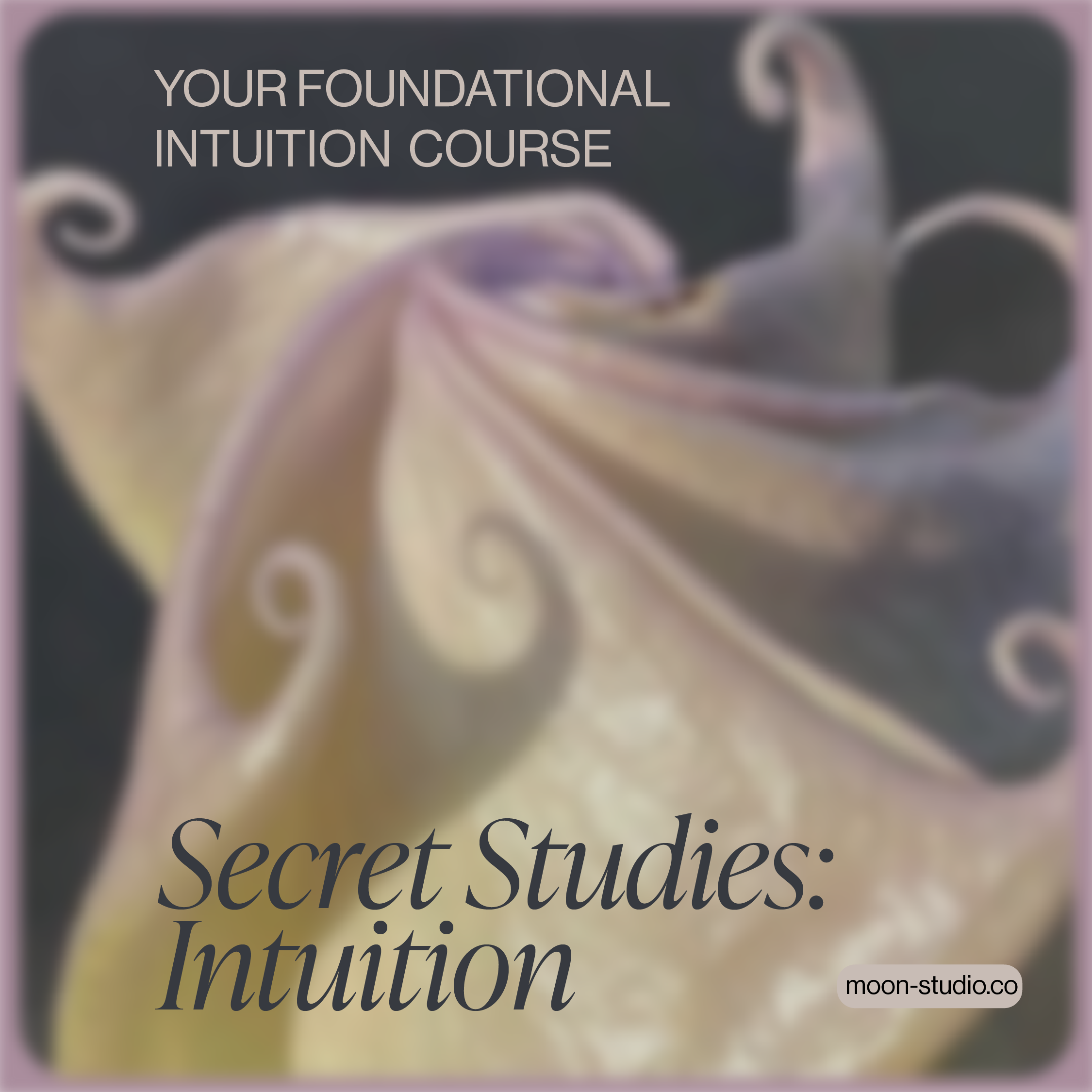 Secret Studies: Intuition February