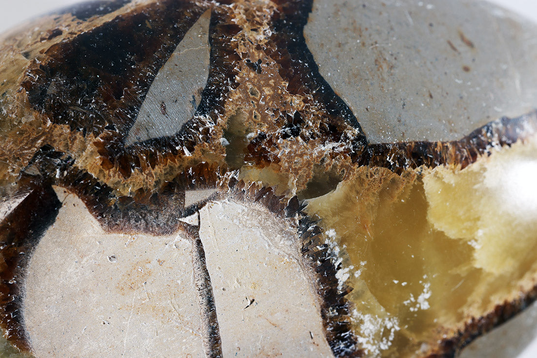 Septarian Calcite for Grounding, Centering, and Ancient Earth Energy