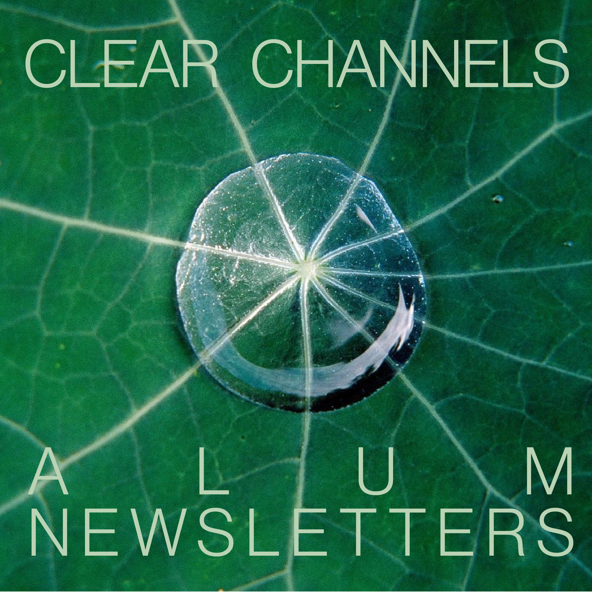 Clear Channels Alum Newsletters and Resources!