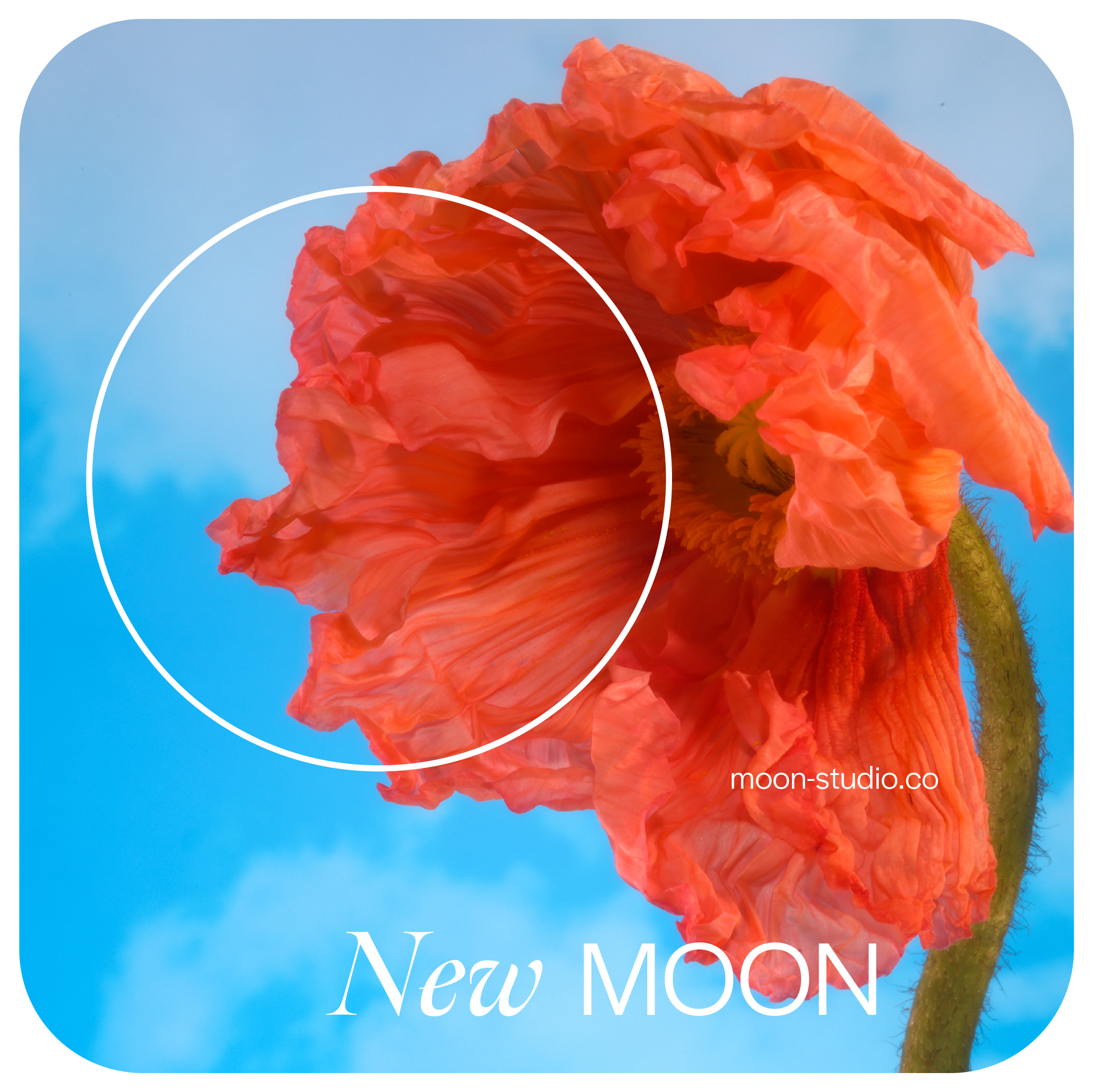 March 2023 New Moon