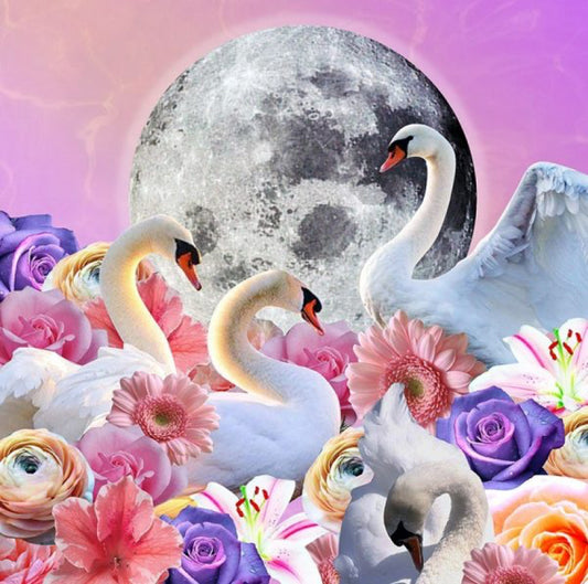 Digital Collages