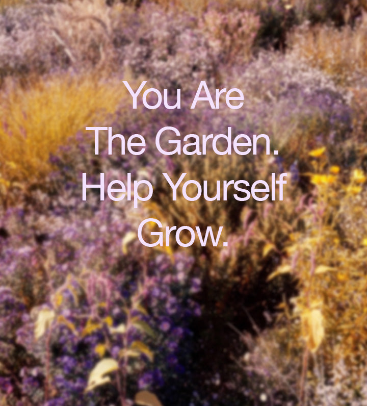 Our Year Ahead: Energies & Archetypes