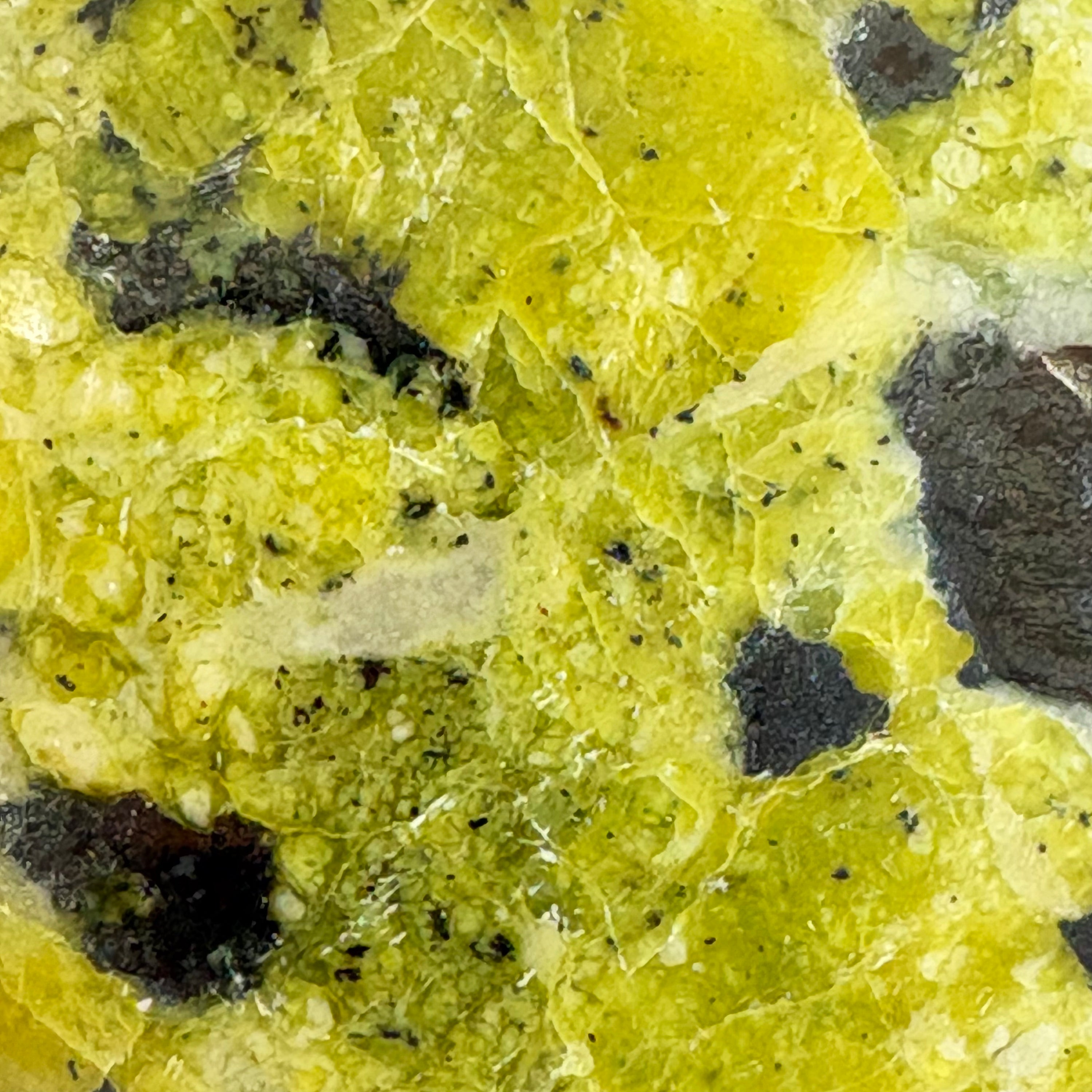 Lizardite Palm Stone for Clearing Emotional Blocks And Shedding Old Skin