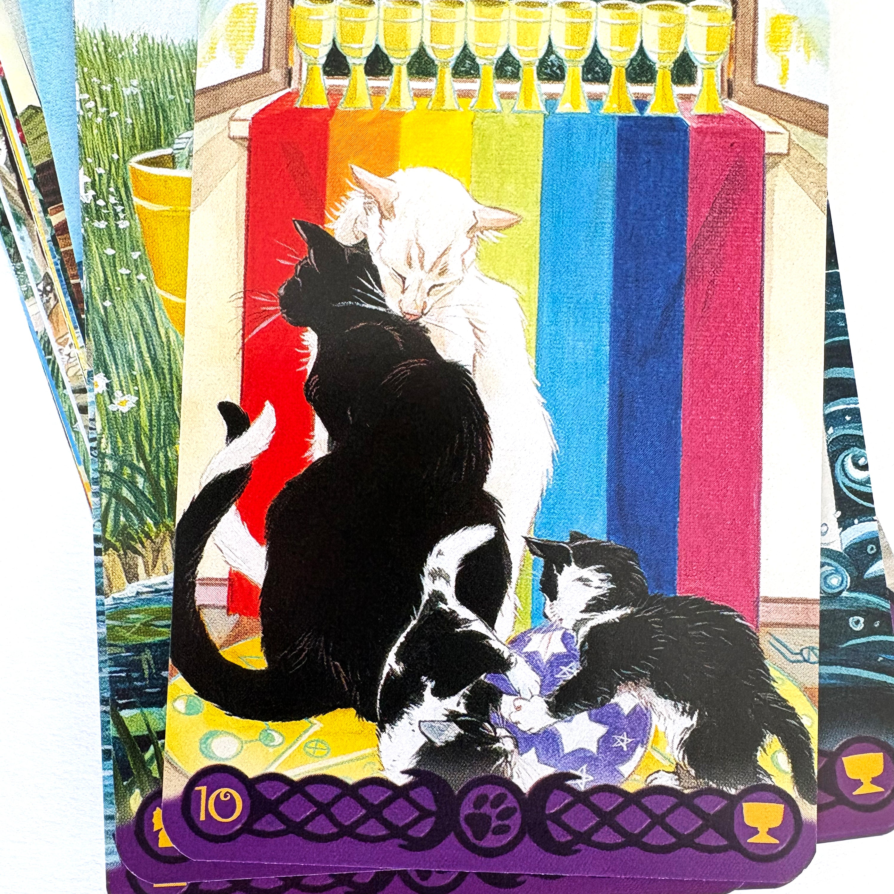 Tarot of Pagan Cats