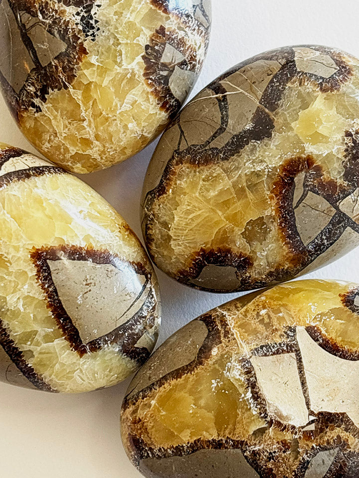 Septarian Calcite for Grounding, Centering, and Ancient Earth Energy