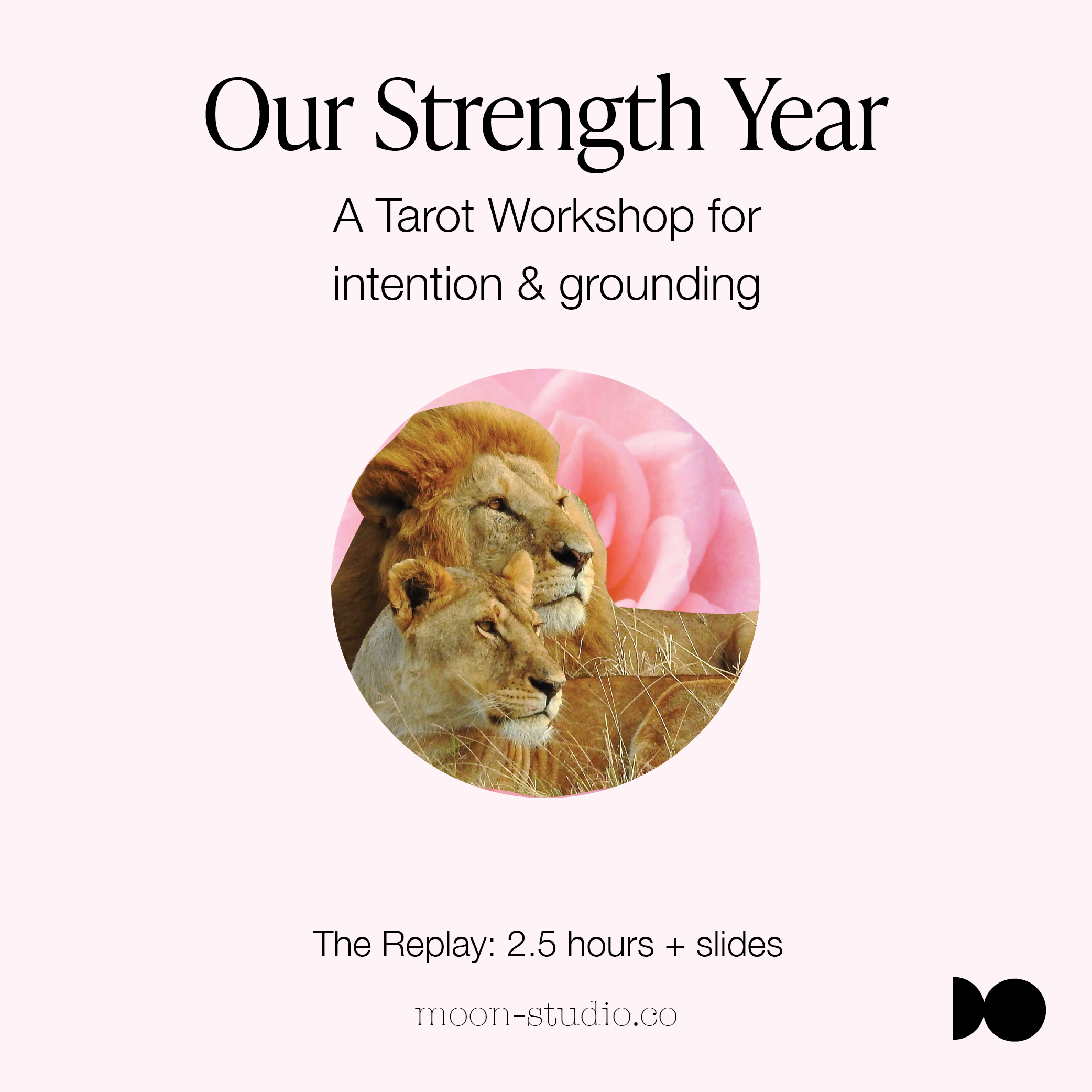 Our Strength Year Online Workshop Replay Download
