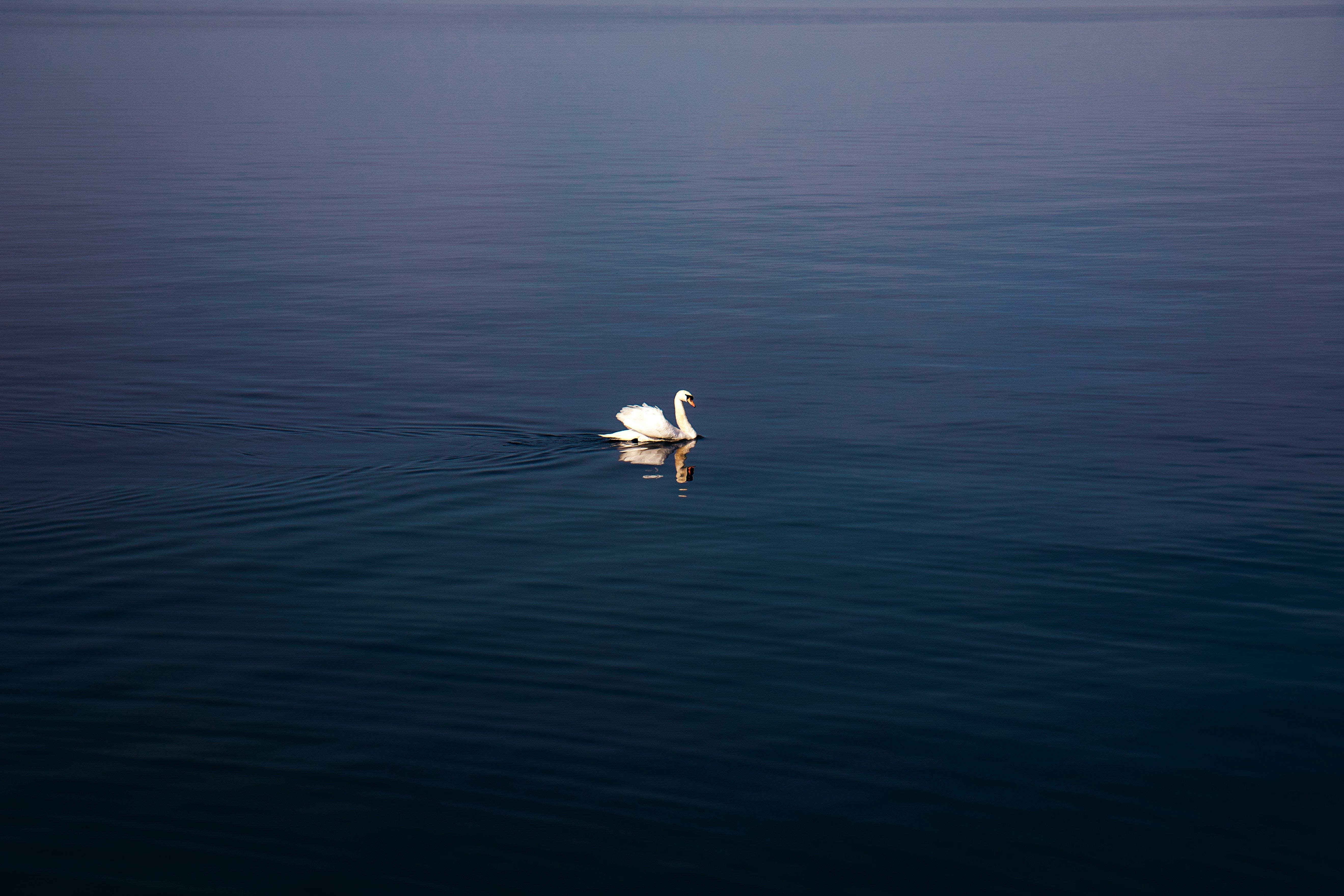 natalia-rudisuli-vujtKztVyyk-unsplash.jpg