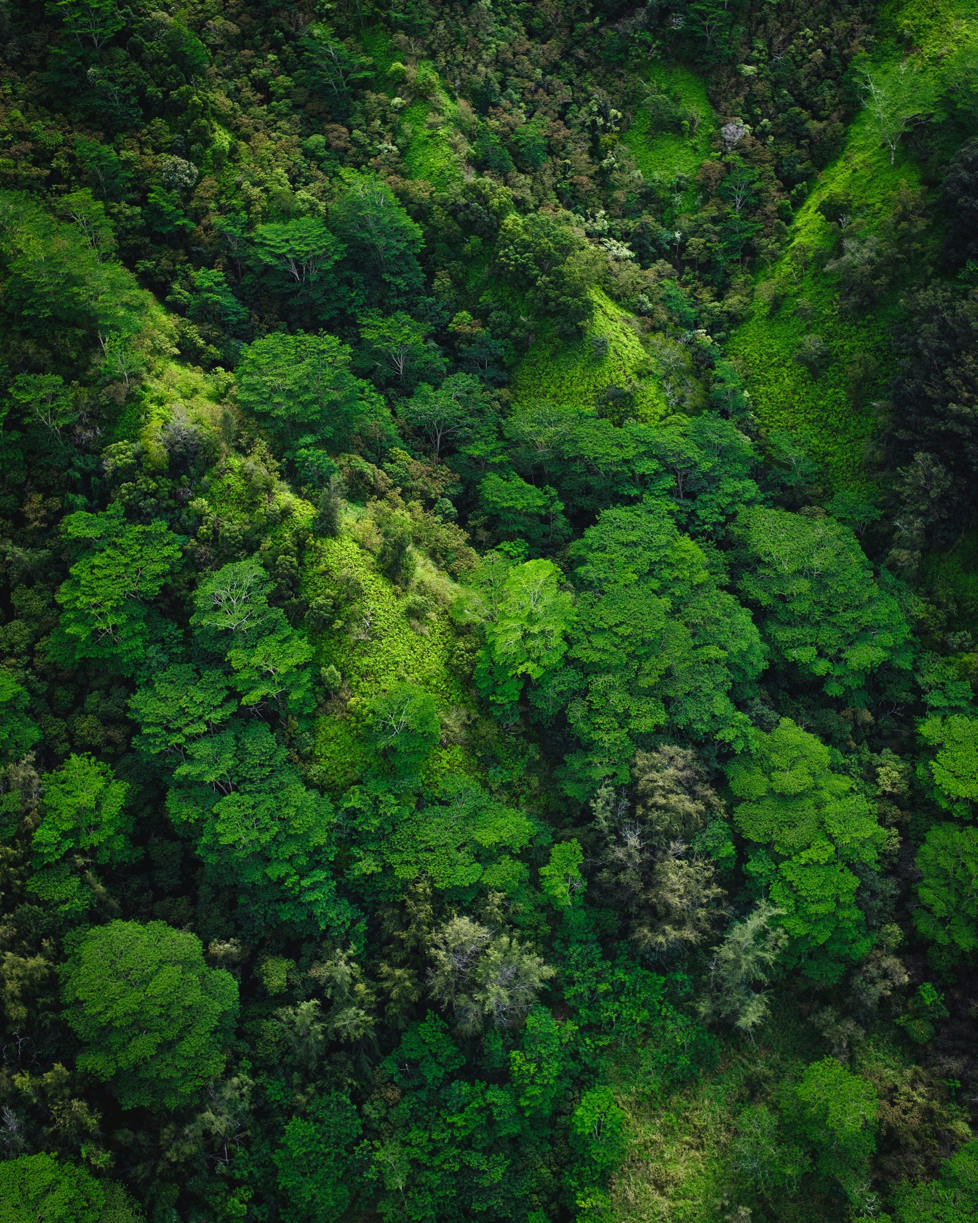 spencer-watson-vzVGHfxZIZ8-unsplash.jpg